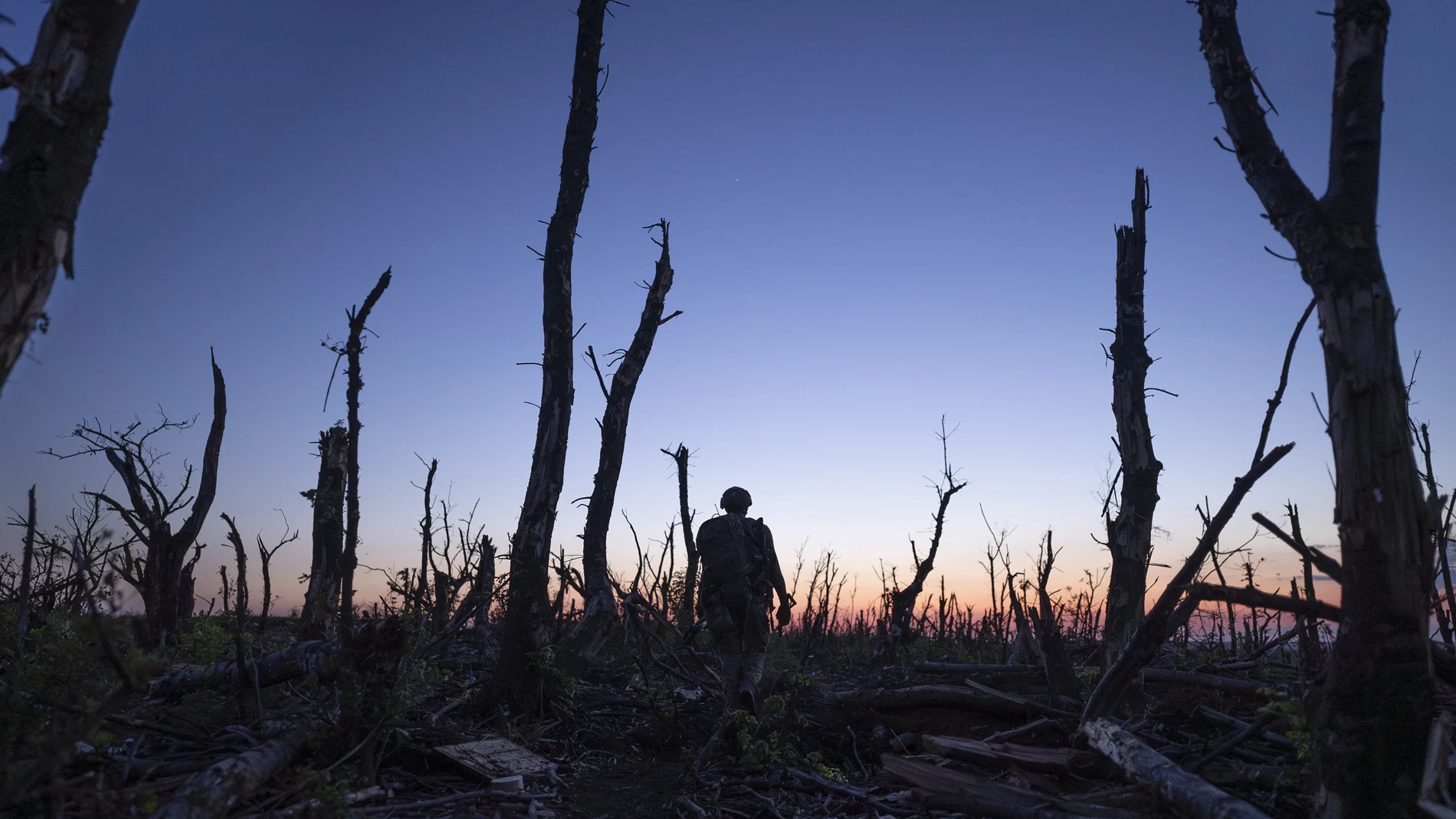 Ukrainian servicemen walk through a charred forest at the frontline a few kilometers from Andriivka, Donetsk region, Ukraine