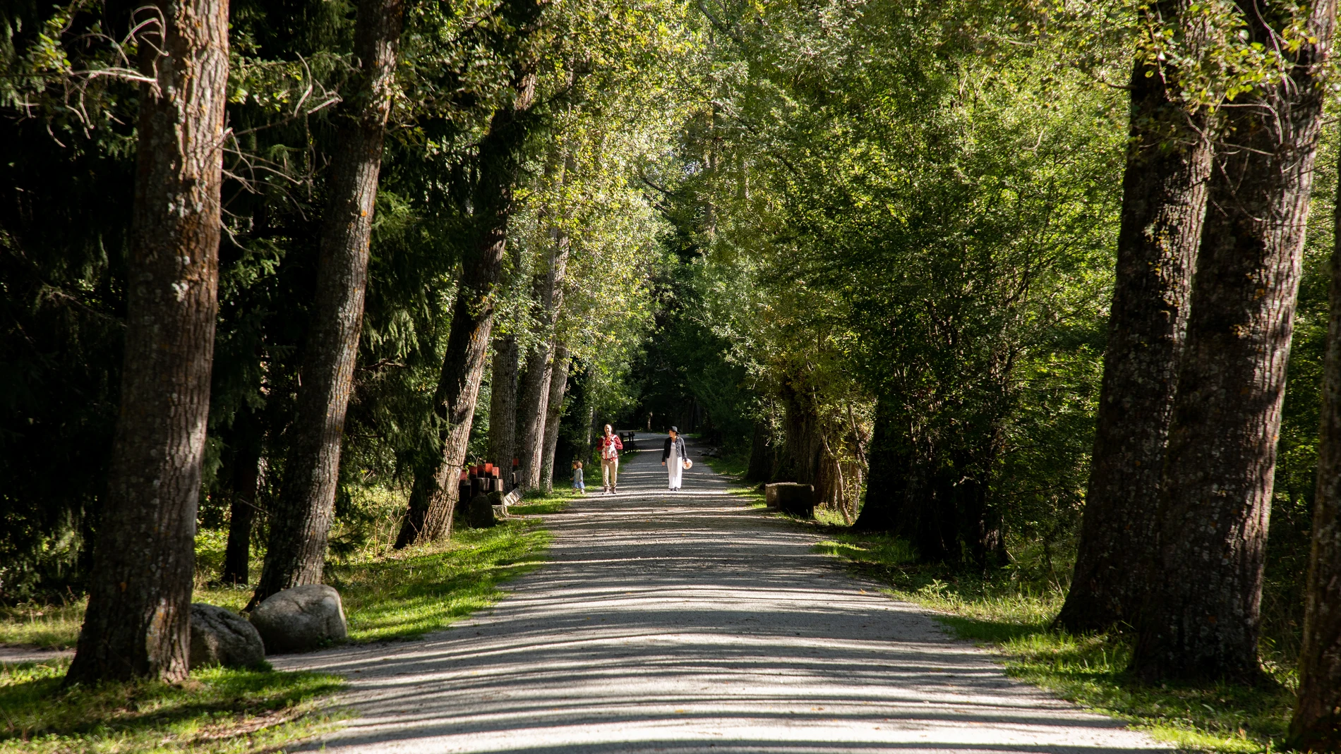 El otoño continúa con temperaturas primaverales