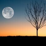 Luna llena 
