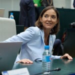 MADRID.-Maroto no logra en Cibeles que se extrapolen a lo municipal atribuciones de la ley estatal de conflictos de intereses