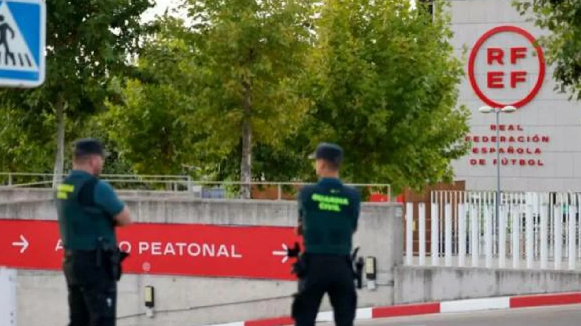 Registro de la RFEF
