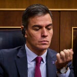 Pedro Sánchez 