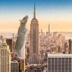 Tours de ratas: la nueva atracción turística de Nueva York