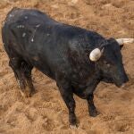 "Saleroso", el último toro en la brillante trayectoria de El Juli