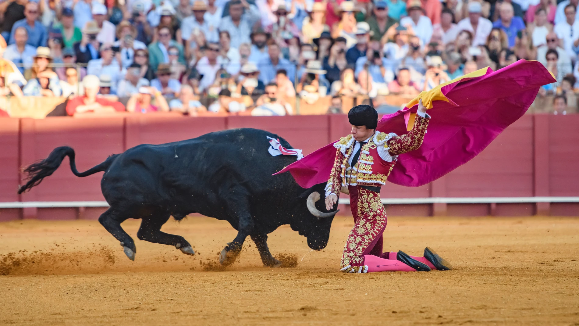 SEVILLA. 01/10/2023. - El Diestro madrileño Julián López 'El Juli' recibe de rodillas a su segundo toro, esta tarde, de Domingo Hernández, en la última de las corridas de la Feria de San Miguel en la Plaza de la Maestranza de Sevilla. El diestro se despide así de los ruedos, este domingo. EFE/ Raúl Caro.