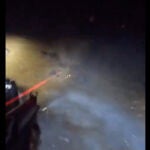 Un momento del vídeo que recoge la caza de los cerdos