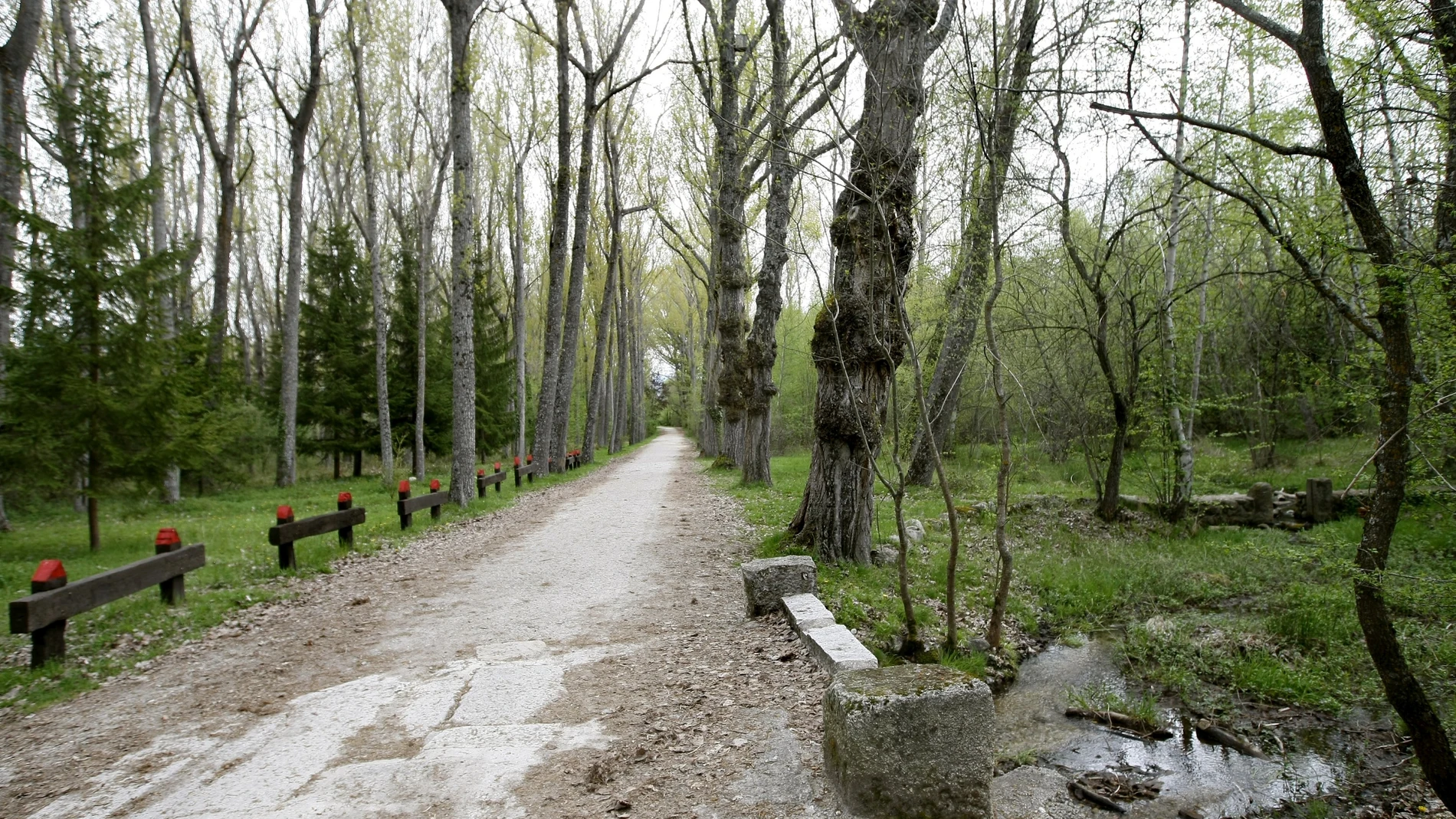 Sierra de Guadarrama.