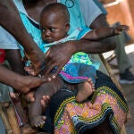 WHO Malaria Vaccine