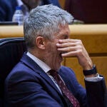 El ministro del Interior, Fernando Grande-Marlaska