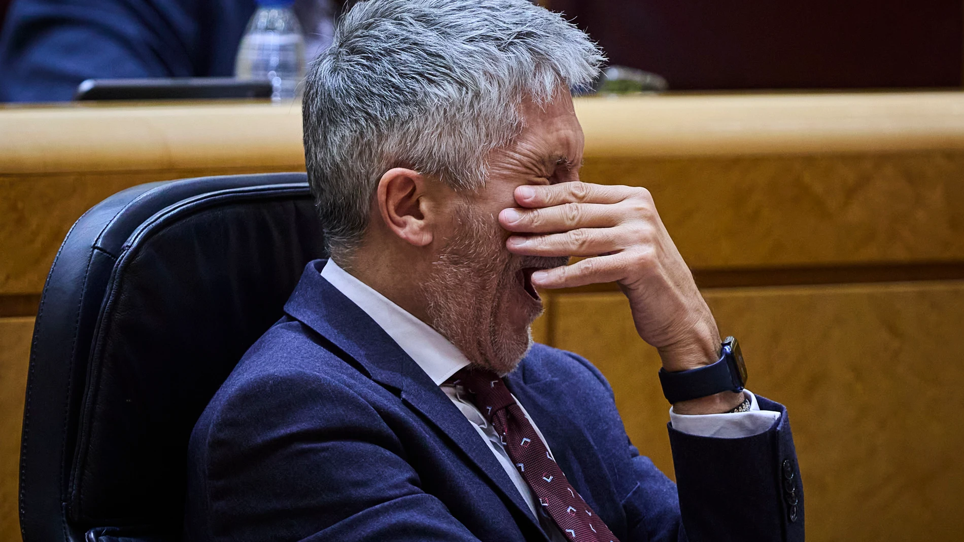 El ministro del Interior en funciones, Fernando Grande-Marlaska