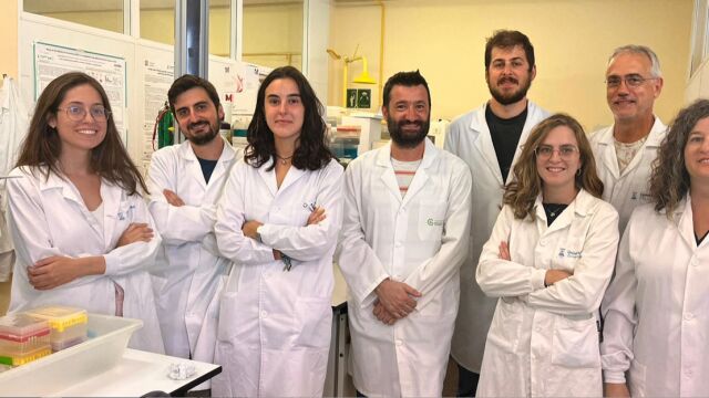 La vacuna viva de la tuberculosis, eficaz para tratar el cáncer de pulmón en ratones 
