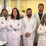 La vacuna viva de la tuberculosis, eficaz para tratar el cáncer de pulmón en ratones 