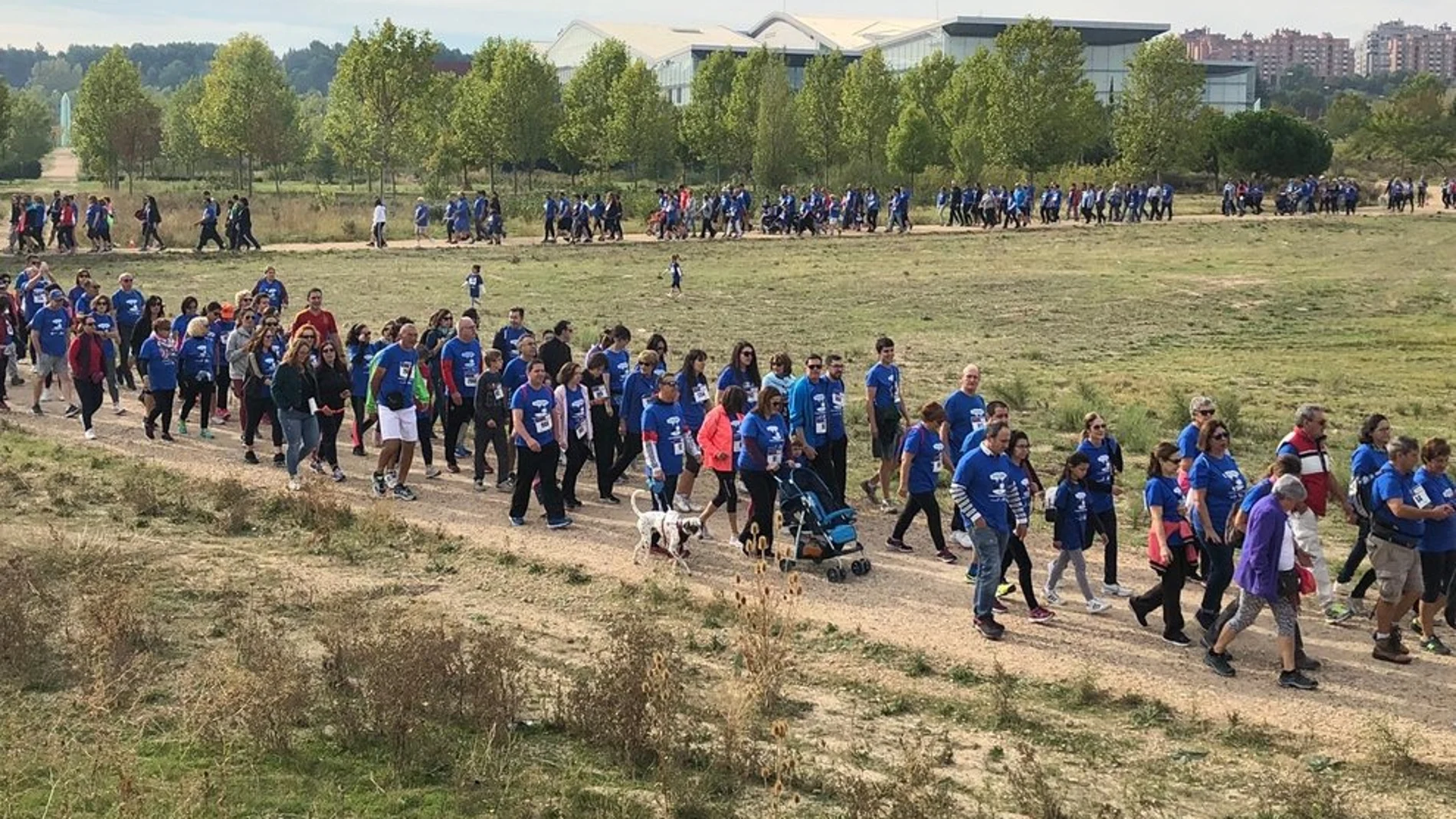 Caminata popular del Banco de Alimentos de Valladolid de 2019, la que más afluencia ha tenido de las cinco celebradas hasta ahora