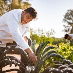 El chef Xanty Elías recoge uno de los productos que luego utilizará en su cocina en el huerto de la Finca Alfoliz