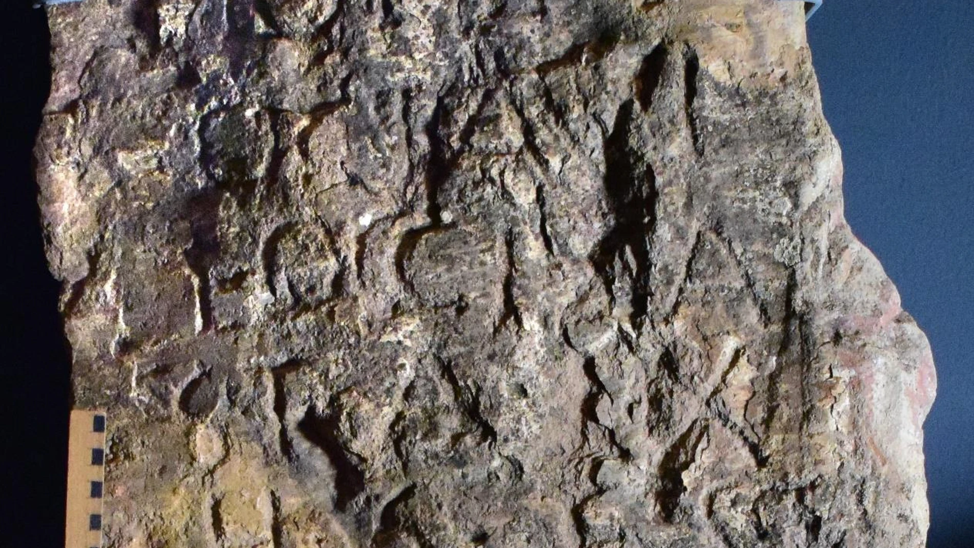 Detalle del texto en la estela de Chillón (Ciudad Real). Museo de Ciudad Real.