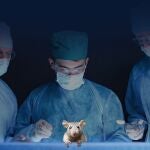 Ilustración de portada : experimentación animal y día mundial de los animales