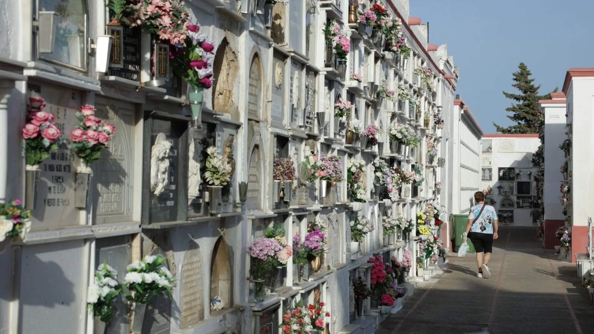 Cementerio de San Fernando