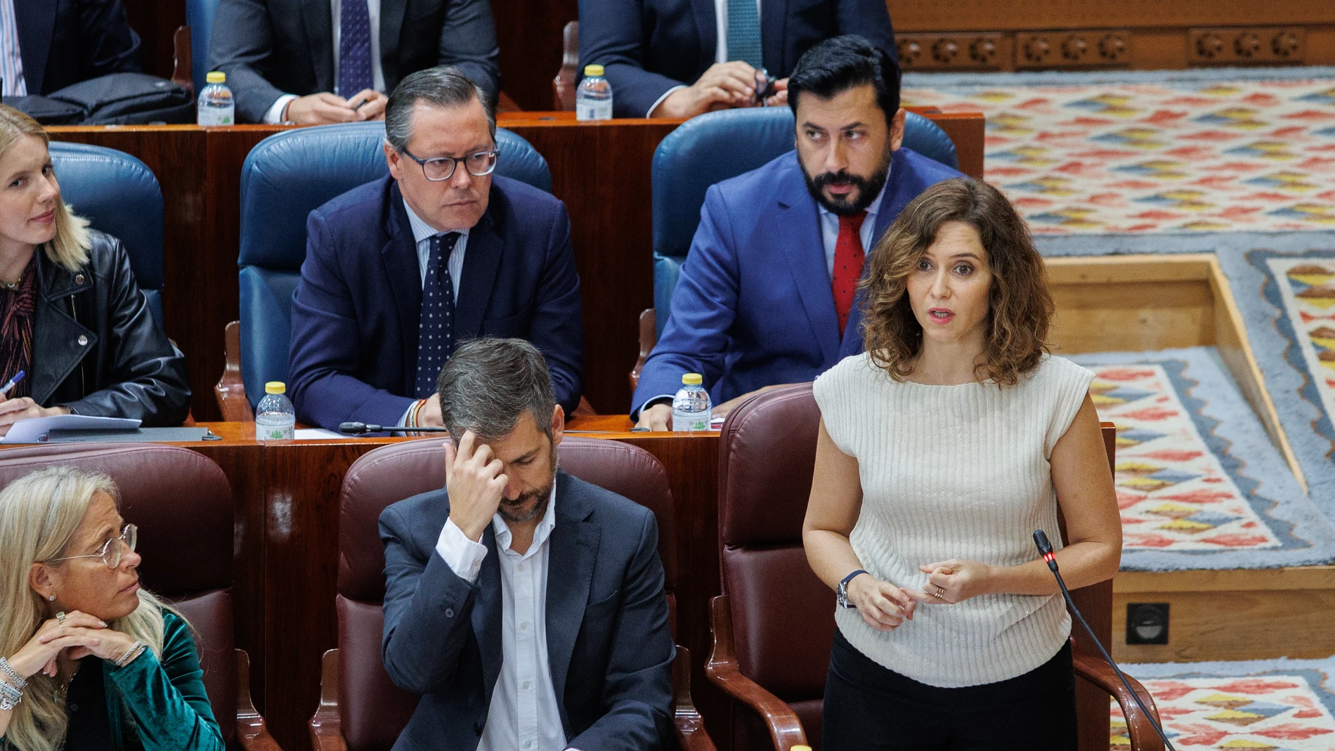 Ayuso, en el turno de palabra