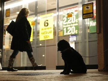 Un perro espera a su dueño a la puerta de un supermercado