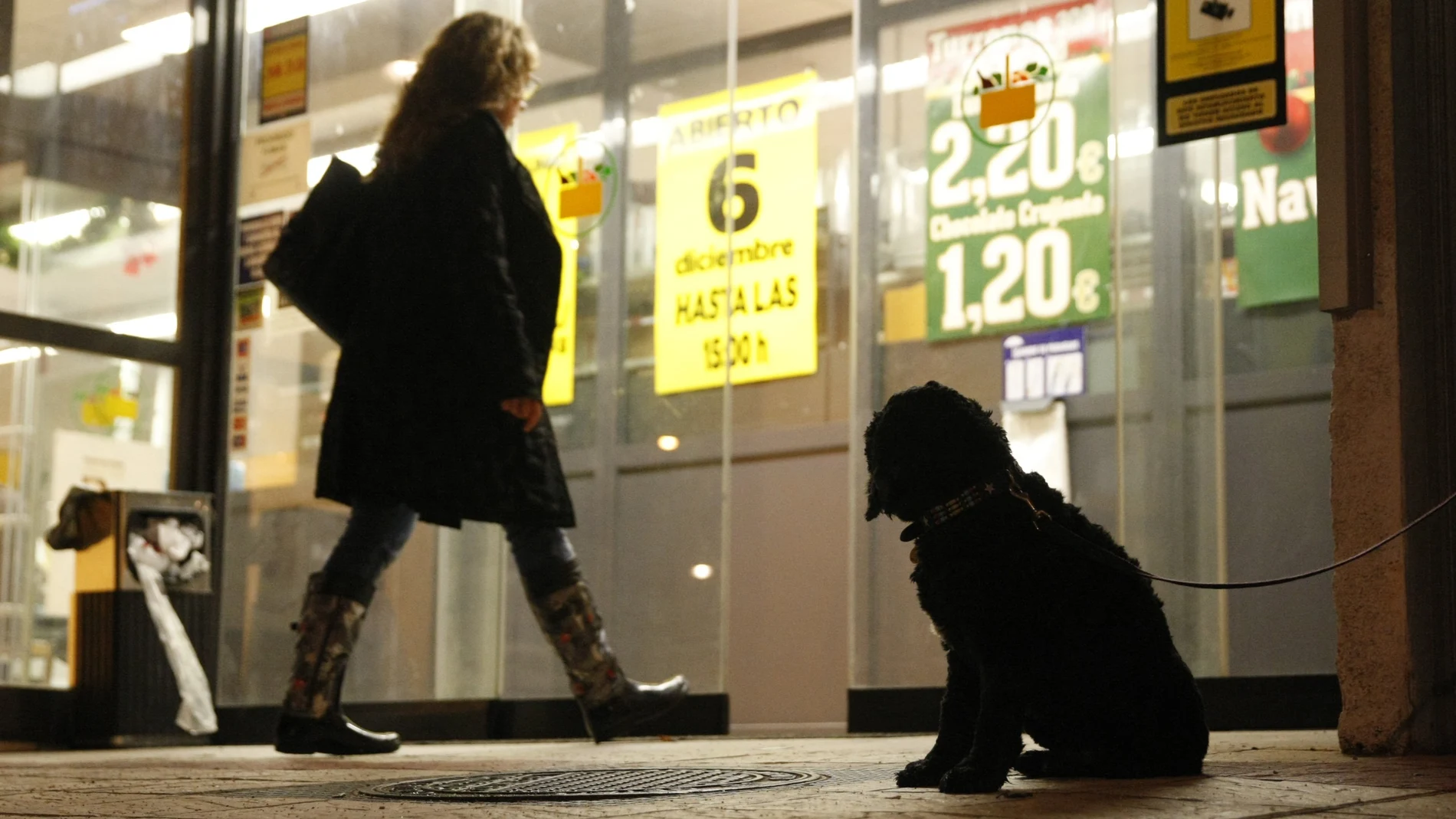 Un perro espera a su dueño a la puerta de un supermercado