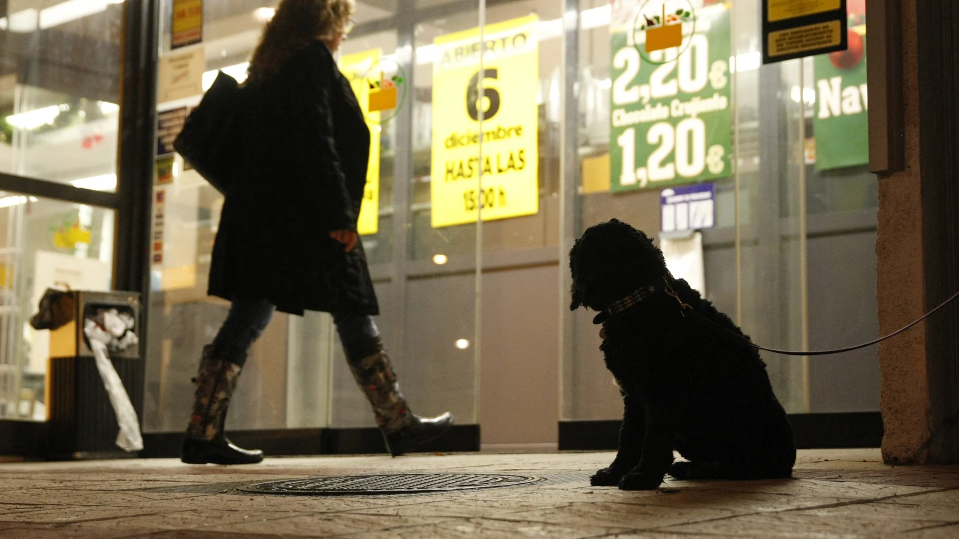 Un perro espera a su dueño a la puerta de un supermercado