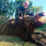 Jabalí abatido por un cazador