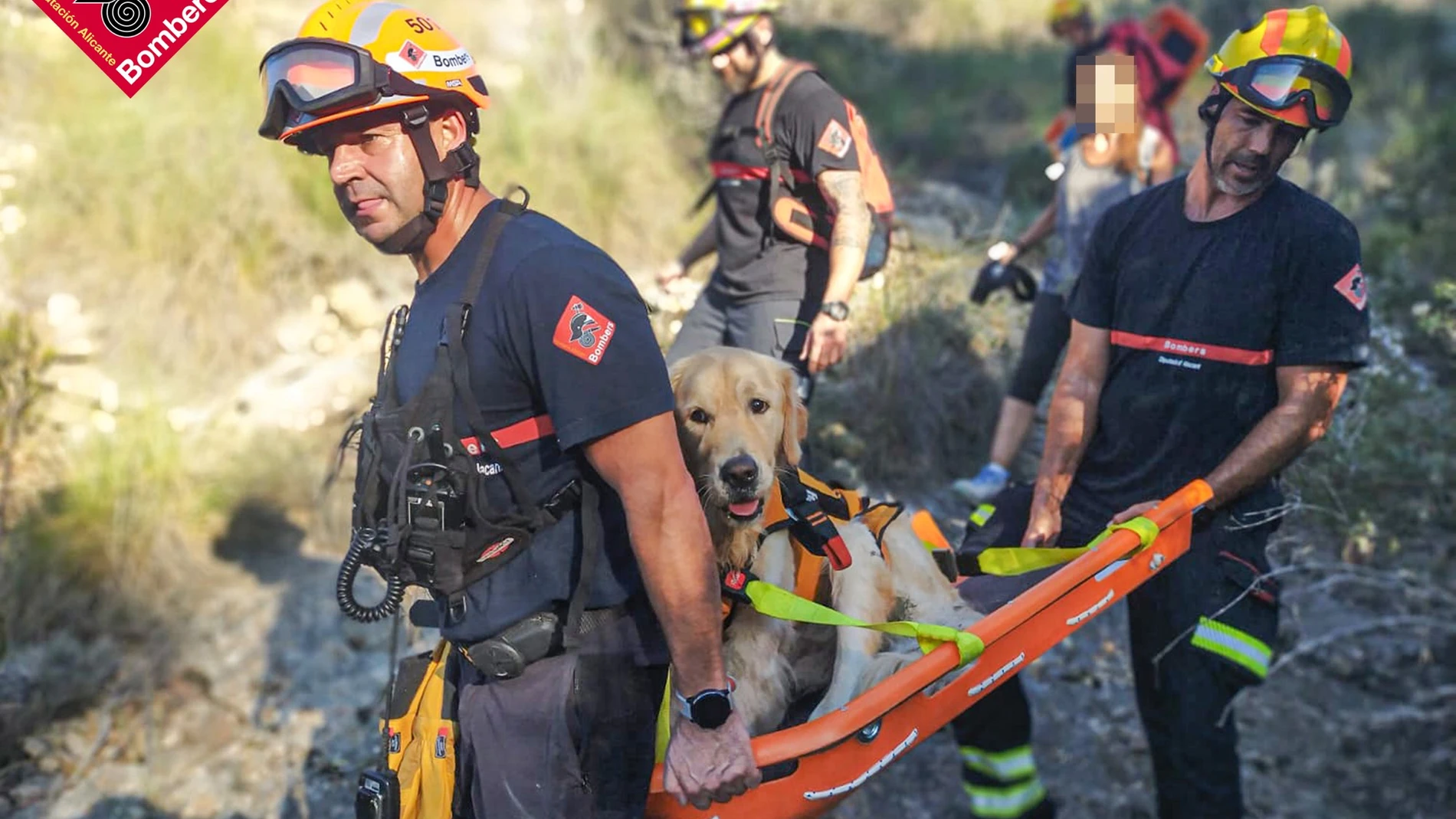 Rescate bomberos Alicante