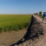 Los costes de los alimentos básicos se disparan