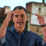 Acto del PSOE en Granada con Pedro Sánchez