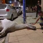 Yegua encontrada desnutrida en Almería