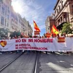 Miles de personas secundan una protesta en Sevilla contra la amnistía y por la unidad de España