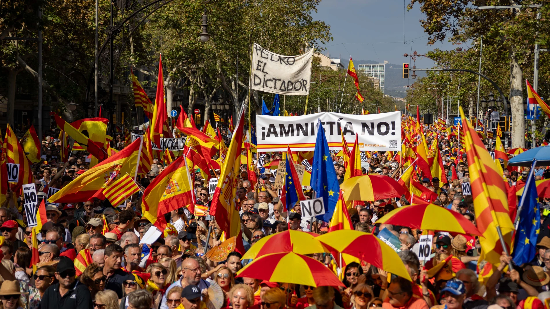 Cientos de personas protestan durante una manifestación de SCC contra la amnistía, a 8 de octubre de 2023, en Barcelona, Catalunya (España). Sociedad Civil Catalana ha convocado una manifestación contra la amnistía y el derecho al referéndum bajo el lema ‘No en mi nombre:ni amnistía, ni autodeterminación’. La protesta busca visibilizar el acuerdo para la investidura del Gobierno de España que han negociado las últimas semanas el presidente del Gobierno en funciones y Carles Puidgemont. Además...