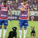 El acto en la liga brasileña que ha enamorado a medio mundo