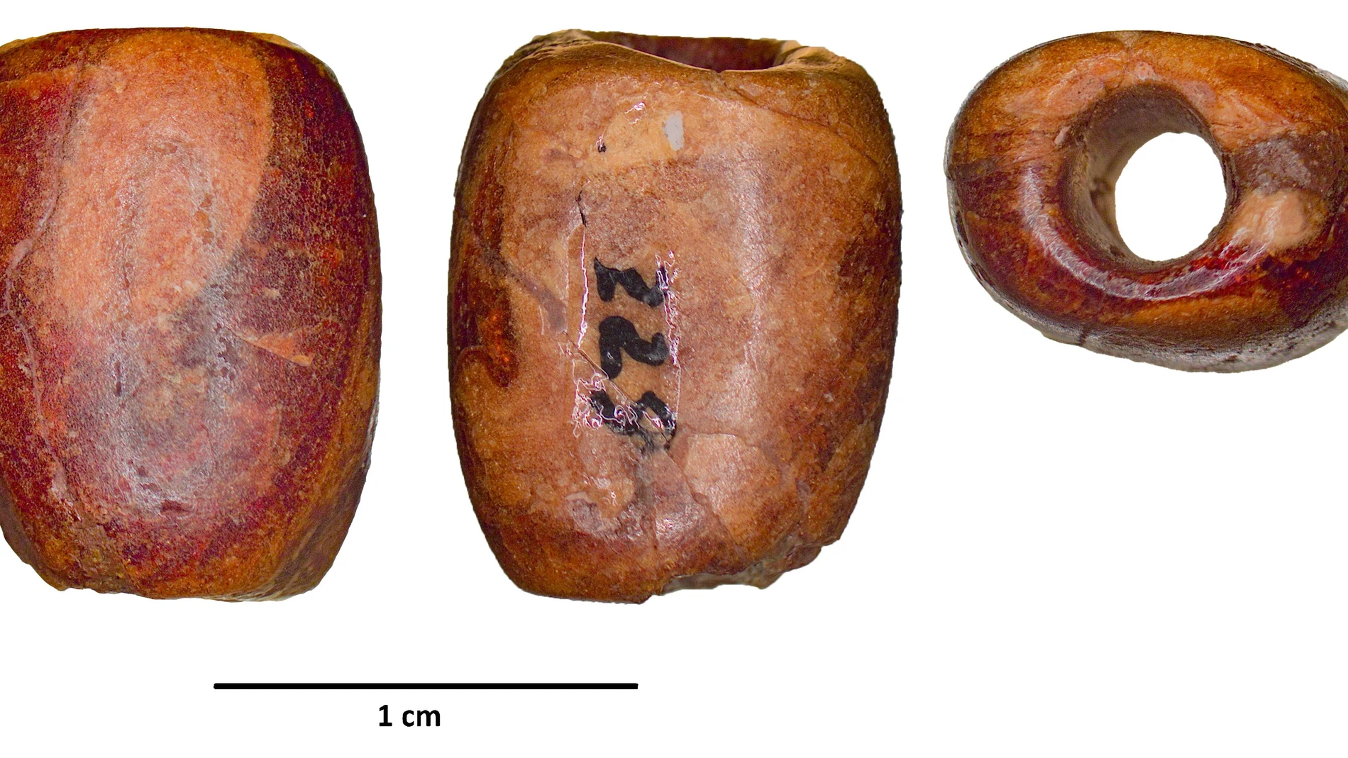 Científicos demuestran que el ámbar báltico de la Península Ibérica ya se importaba hace más de 5.000 años