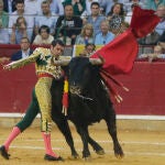 Toros en Zaragoza