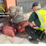 Un agente, junto a las almejas que se han interceptado