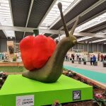 Feria Ecocultura celebrada en Zamora