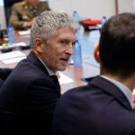 Fernando Grande-Marlaska preside la Mesa de Valoración de la Amenaza Terrorista