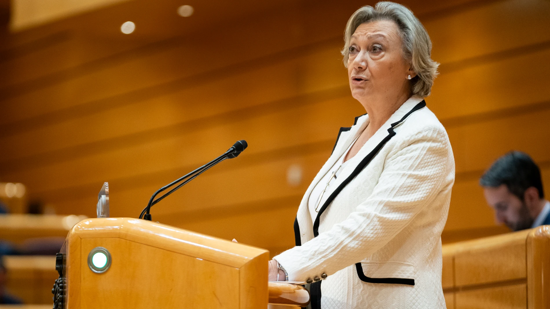 La senadora del PP Luisa Fernanda Rudí interviene durante una sesión plenaria en el Senado, a 17 de octubre de 2023, en Madrid (España). Durante el pleno del Senado, el Partido Popular ha expresado su oposición a la amnistía a través de una moción no vinculante presentada por el Partido Popular (PP), que también rechaza las negociaciones políticas que puedan afectar a los fundamentos de la Constitución. La moción presentada esta vez por el PP menciona explícitamente la amnistía en la exposici...