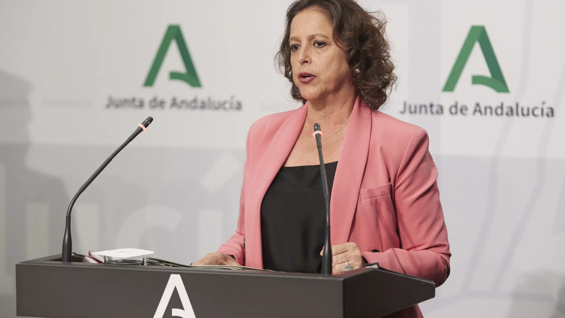 La consejera de Salud, Catalina García
