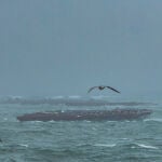 MURCIA.-Aemet activa el aviso naranja en Campo de Cartagena y Mazarrón por vientos de hasta 90 km/h y olas de 5 metros