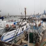 La flota amarrada