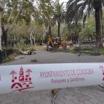 Actuaciones de Parques y Jardines ante los daños causado por la borrasca Bernard en Córdoba