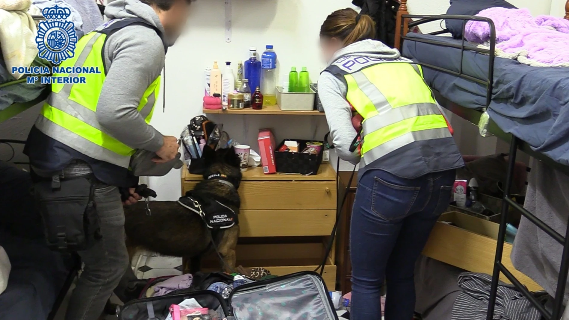 Detenidas dos personas en Vitoria-Gasteiz por explotar sexualmente a mujeres en un piso de la capital alavesaDELEGACIÓN DEL GOBIERNO EN EL PA23/10/2023
