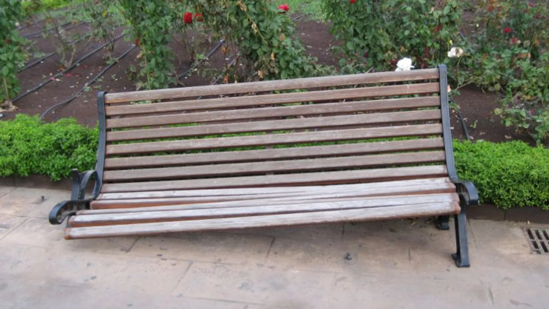 En el marco del plan Ordena, se analizará la vida útil del mobiliario urbano para sustituirlo antes de que se degrade