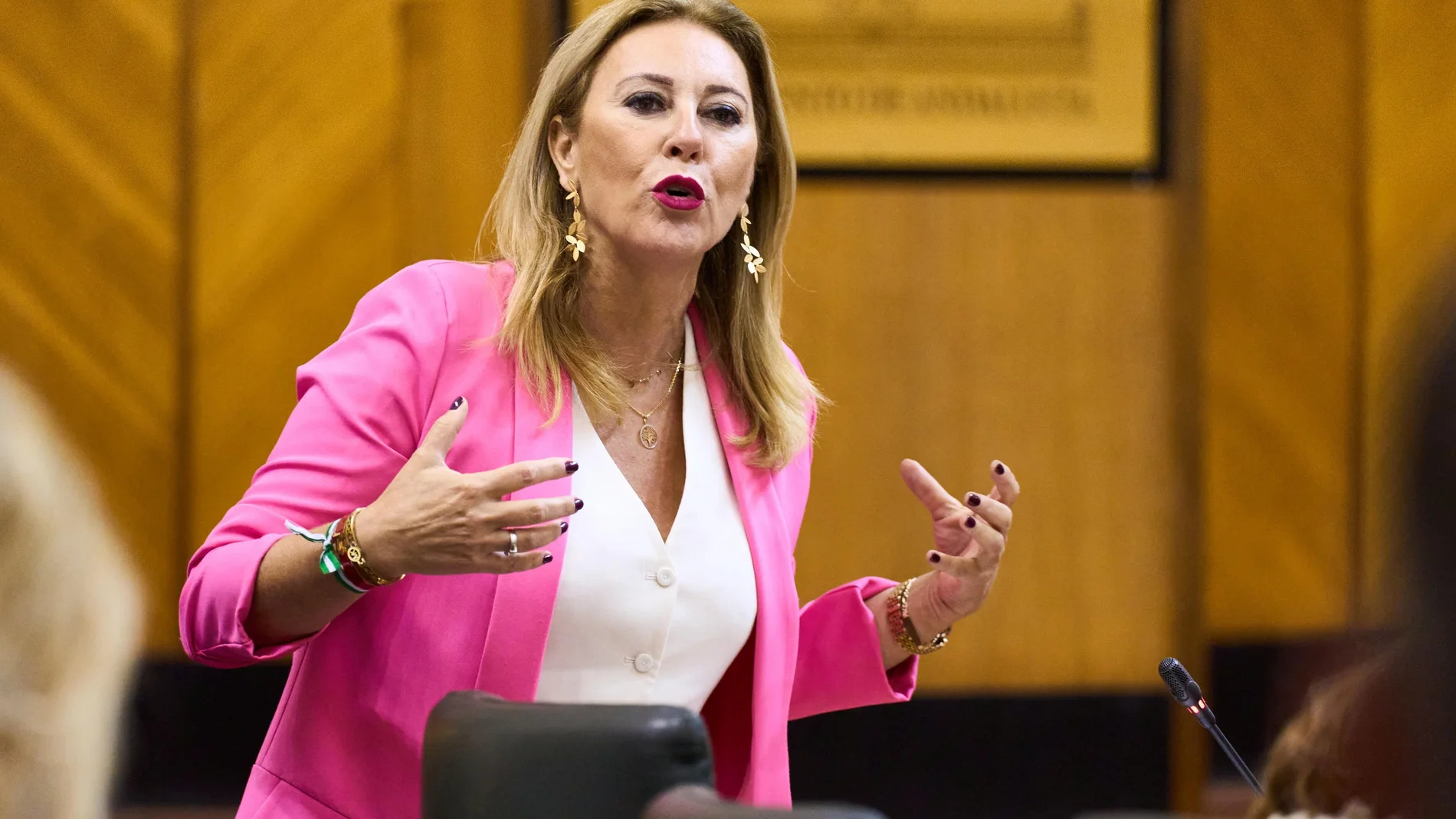 La consejera de Economía, Carolina España
