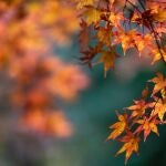 Otoño en España 