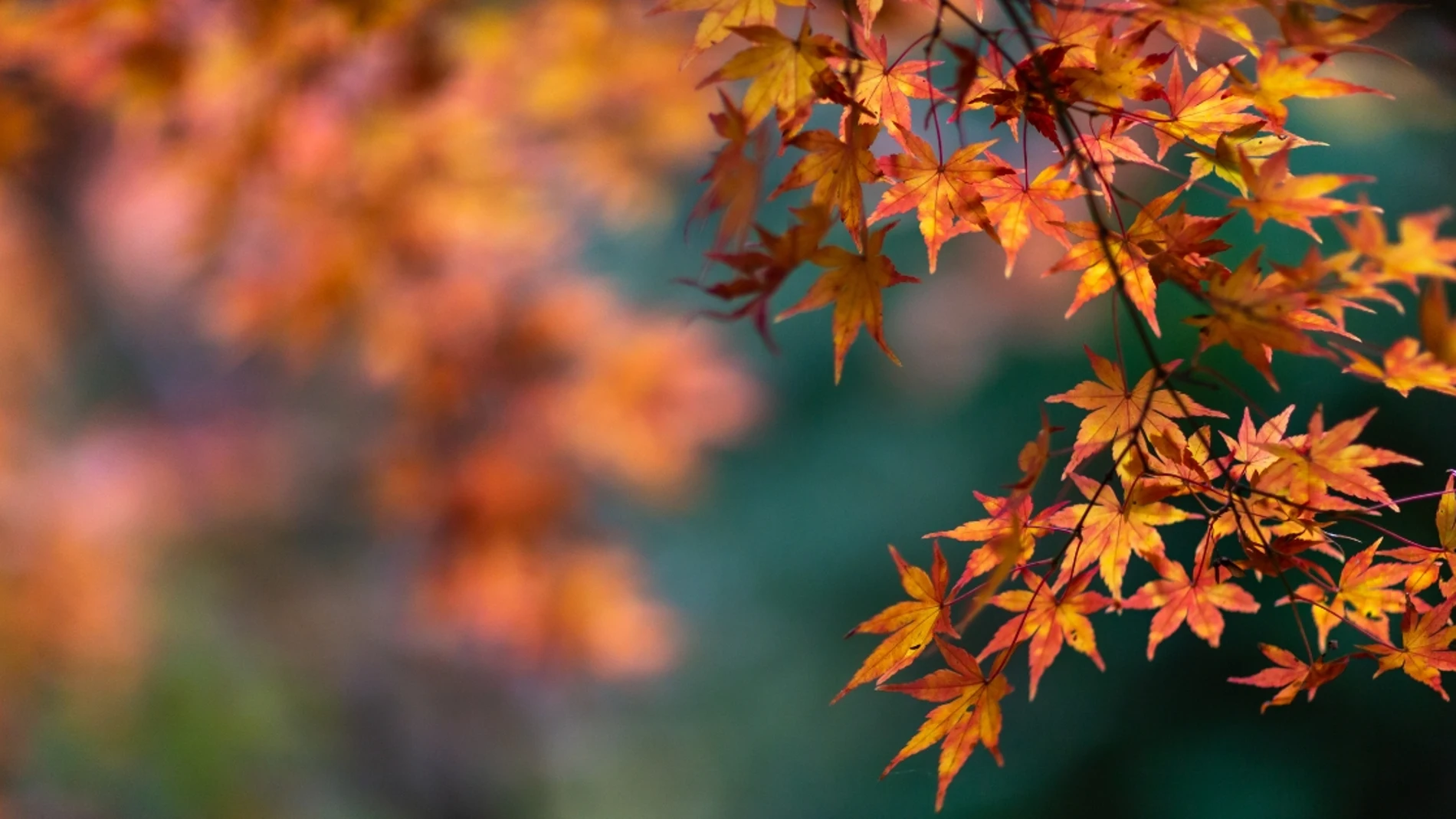 Otoño en España
