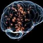 Daño cerebral 