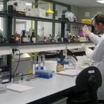 Genetista trabajando en la sede de Incifor de Santiago